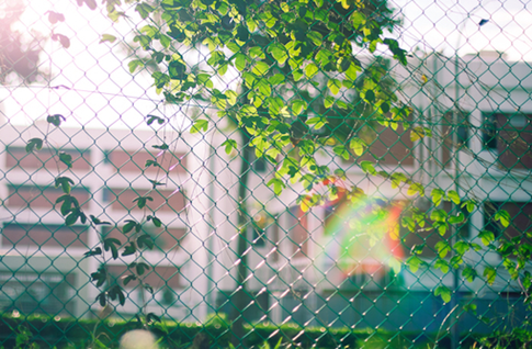 考研基础知识普及:英语一和英语二的七大区别 考研基础知识普及:英语一和英语二的七大区别