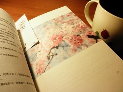 2018考研数学基础复习阶段新手指南 2018考研数学基础复习阶段新手指南