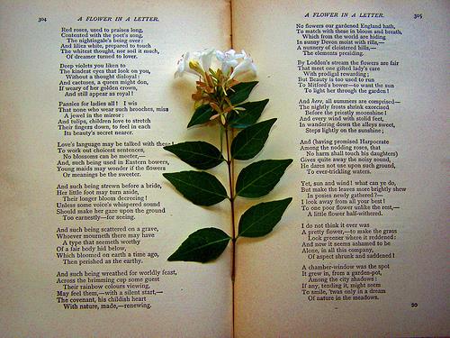 2018考研英语阅读十大做题技巧 2018考研英语阅读十大做题技巧