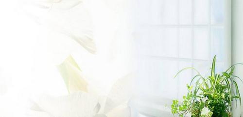 2018考研管综逻辑模拟练习及答案解析(7) 2018考研管综逻辑模拟练习及答案解析(7)