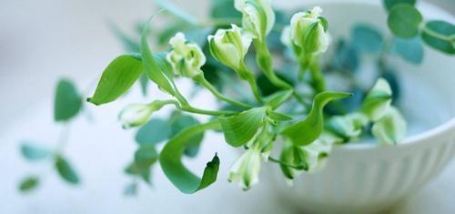 2018管理类联考:初等数学的3段式复习法 2018管理类联考:初等数学的3段式复习法